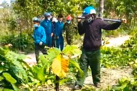 Tổng cục Lâm nghiệp vào cuộc vụ nhân viên bảo vệ rừng bị hành hung ở Gia Lai