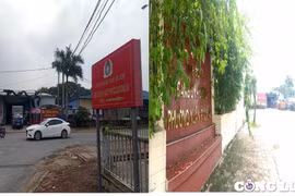 Phường Xuân Phương "loay hoay" đi xin hướng dẫn xử lý hơn 8.000m2 kho, xưởng không PCCC