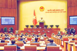 Nâng cao giám sát để thúc đẩy mạnh mẽ công tác xây dựng và hoàn thiện thể chế