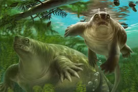 Phát hiện quái vật “trộn lẫn" giữa rùa, hà mã, khủng long
