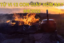 Tử vi hôm nay 9/8/2022, thứ 3 ngày 12/7 âm lịch của 12 con giáp