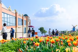 Du xuân Núi Bà Tây Ninh Tết này, ngỡ ngàng trước những điều mới lạ