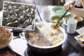 Trung Quốc: Bị bắt vì giết 1000 con chim để... ăn lẩu
