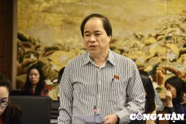 Xử lý nghệ sĩ quảng cáo, bán hàng sai sự thật để không chỉ "xin lỗi là xong"