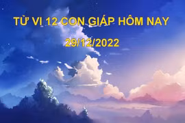 Tử vi hôm nay 29/12/2022, thứ 5 ngày 7/12 âm lịch của 12 con giáp