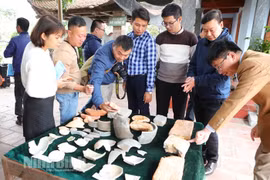 Phát lộ cung điện thời Đinh tại Cố đô Hoa Lư