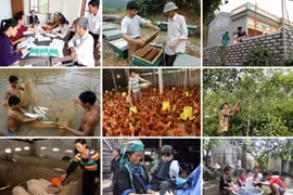 Phấn đấu "Vì một Việt Nam không còn đói nghèo", không ai bị bỏ lại phía sau