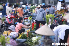 Nhộn nhịp người dân đi chợ từ 5h sáng sắm đồ lễ cúng Tết Đoan Ngọ