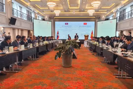 Bộ Công an Việt Nam và Bộ Công an Lào tăng cường hợp tác phòng, chống ma túy