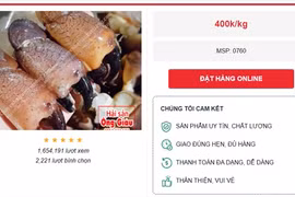 Ăn được duy nhất mỗi phần càng, cua đá vẫn được các tín đồ chuộng hải sản săn đón