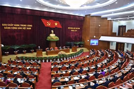 Ban Chấp hành Trung ương Đảng thảo luận theo tổ về nông nghiệp, nông dân, nông thôn