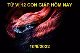 Tử vi hôm nay 10/9/2022, thứ 7 ngày 15/8 âm lịch của 12 con giáp
