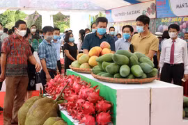 Hỗ trợ kết nối cung cầu tiêu thụ nông sản miền núi