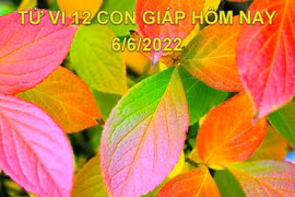 Tử vi 6/6/2022 hôm nay, thứ 2 ngày 8/5 âm lịch của 12 con giáp