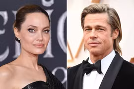 Brad Pitt thua kiện Angelina Jolie