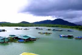 Đắm mình trước vẻ đẹp yên bình ở làng chài miền Tây trên dòng Sê San