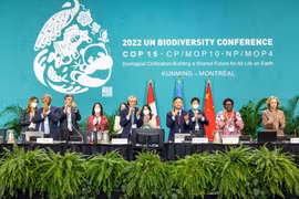 Hội nghị Đa dạng Sinh học COP15: Đạt thỏa thuận lịch sử để bảo vệ thiên nhiên