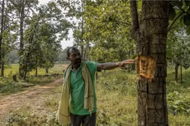 Mỏ than “nuốt” ngôi làng ở Ấn Độ: “Chúng tôi đã bị lừa”