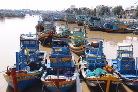 Mục tiêu đến năm 2030, cả nước sẽ có 176 cảng cá