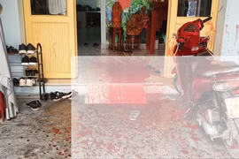Điều tra làm rõ vụ phóng viên báo Tuổi Trẻ bị ném đầu lợn và tạt máu vào nhà