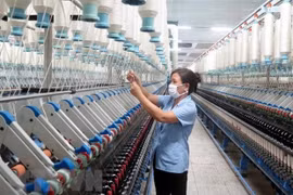 Tư tưởng đối phó khiến kết quả cổ phần hóa, thoái vốn ở doanh nghiệp nhà nước còn thấp