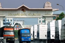 Hỗ trợ doanh nghiệp đẩy nhanh đăng ký mã số xuất khẩu sang Trung Quốc