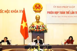 Ban Công tác đại biểu tham mưu cho ý kiến về việc bắt, giam, giữ, khởi tố đại biểu Quốc hội