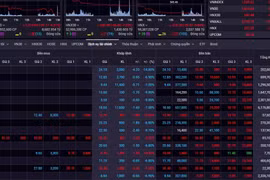 Gần nửa rổ VN30 giảm hết biên độ, Vn-Index trượt dốc không phanh