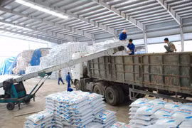 Xuất khẩu phân bón tăng mạnh