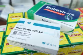 Bộ Y tế: Tự ý sử dụng Molnupiravir có thể tạo ra chủng virus mới