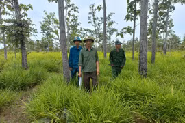 Gia Lai: Có đến 360 cán bộ, công chức, viên chức xin thôi việc trong gần 2 năm