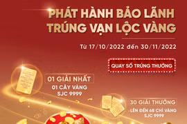 Phát hành bảo lãnh, nhận vàng SJC tại VietinBank