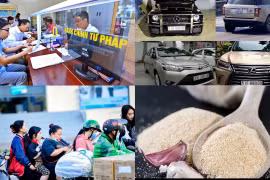 Nóng 18h: Đấu giá biển số đẹp, đề xuất thống nhất mức giá khởi điểm 40 triệu đồng