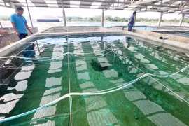 Đầm Hà (Quảng Ninh): Sẽ đạt chuẩn nông thôn mới nâng cao năm 2022