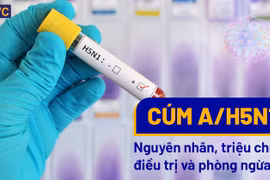 Bộ Y tế thông tin về ca bệnh cúm gà trên người đầu tiên sau 8 năm