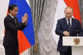 Tổng thống Indonesia Widodo chuyển tới ông Putin thông điệp từ Ukraine