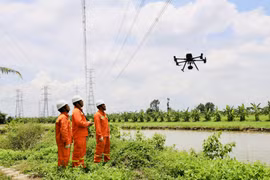 Chuyển đổi số - cơ hội vô giá để ngành truyền tải điện phát triển với những đột phá về công nghệ số