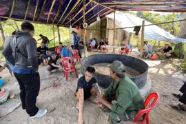 Đột kích trường gà, bắt 19 đối tượng đá gà ăn tiền
