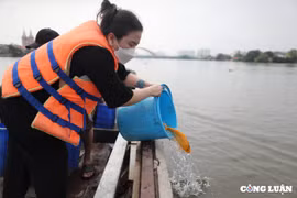 Rộn ràng thả cá phóng sanh tiễn ông Công, ông Táo về trời