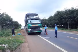 Xử phạt hơn 10.000 trường hợp vi phạm tải trọng năm 2021