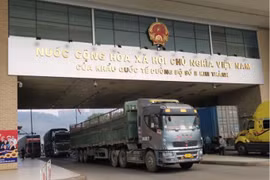 Trung Quốc khôi phục nhập khẩu trái cây tươi tại cửa khẩu Kim Thành II