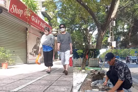 Gian lận doanh thu để trúng thầu, Công ty xây dựng Single liệu có bị cấm thầu?