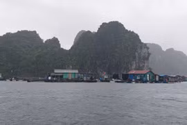 Quảng Ninh: Thành phố Cẩm Phả ra quân làm sạch biển, tháo dỡ toàn bộ công trình nuôi thủy sản trái phép