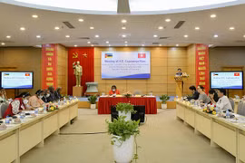 Thúc đẩy hợp tác trong thương mại, đầu tư giữa cộng đồng doanh nghiệp Việt Nam - Mozambique