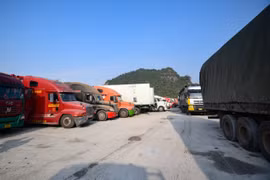 Lạng Sơn kéo dài thời hạn tiếp nhận xe hoa quả tươi ở khu vực cửa khẩu