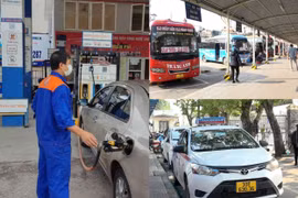 Giá xăng, dầu tăng cao: Vận tải hành khách khó khăn chồng chất khó khăn