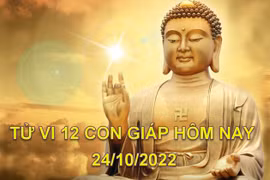 Tử vi hôm nay 24/10/2022, thứ 2 ngày 29/9 âm lịch của 12 con giáp