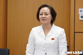Bộ trưởng Phạm Thị Thanh Trà giải đáp việc hồi tố xử lý kỷ luật cán bộ công chức, viên chức