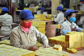Công ty bán... vàng mã duy nhất trên sàn chứng khoán Việt Nam báo lãi đột biến