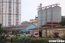 Khu nhà xưởng ở bến Bình Đông: Từ tấp nập ‘trên bến dưới thuyền’ nay chỉ còn cảnh đìu hiu